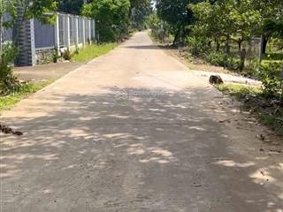Đất vườn đang trồng cây ăn trái dt 1751m2 tại tà lài, tân phú, đồng nai, giá 1,4 tỷ, bán gấp