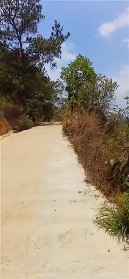 Bán đất tại tà nung, đà lạt, lâm đồng, 26000m2, khu dân cư đông đúc cách chợ dl 13km
