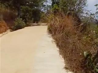 Bán đất tại tà nung, đà lạt, lâm đồng, 26000 m2, khu dân cư đông đúc cách chợ dl 13km