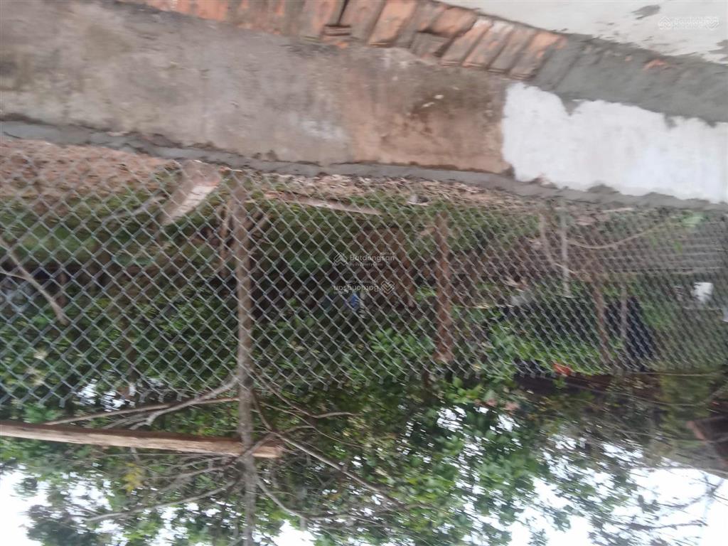 Cần bán gấp 100m2 full thổ cư gần trường cấp 3 vân cốc