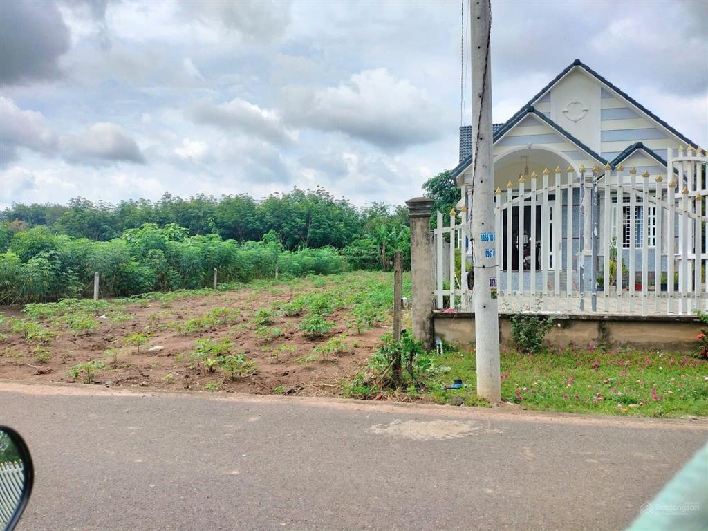 Lô đất vàng 1150m2 mặt tiền nhựa phía sao có suối cực mát