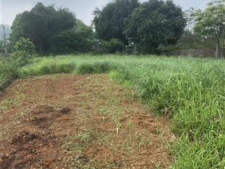 Đất bùi trám hòa sơn, 1018m2 mặt tiền 42m, giá 4.2 tỷ