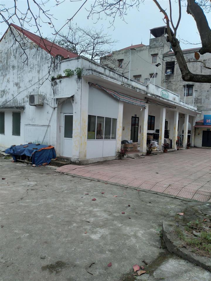 Mặt quốc lộ 3 đối diện cây đa bác hồ