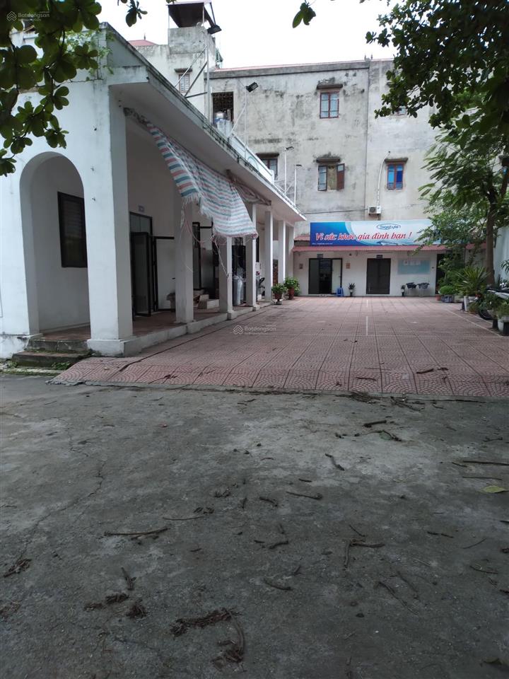 Mặt quốc lộ 3 đối diện cây đa bác hồ