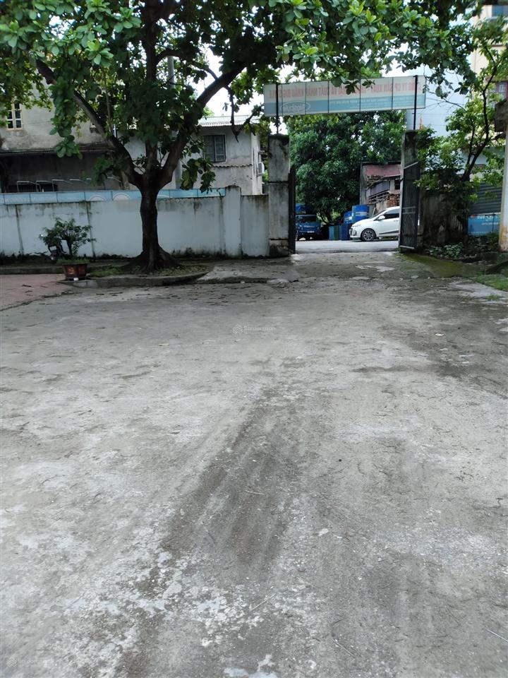 Mặt quốc lộ 3 đối diện cây đa bác hồ