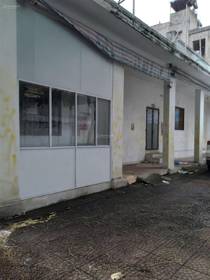 Mặt quốc lộ 3 đối diện cây đa bác hồ