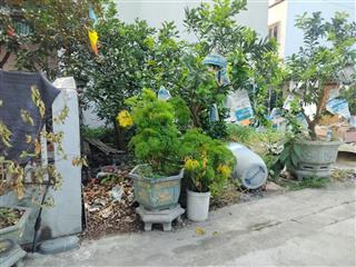 Bán đất 46m2, mt 4.5m giá 4 tỷ tại đường bắc thăng long, nam hồng, đông anh, hà nội