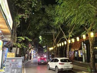 Bán nhà riêng 130m2, 80 tỷ tại trịnh công sơn, nhật tân, tây hồ, hà nội, view đẹp uy tín