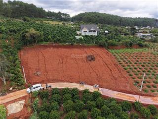 Lô đất thế dương cạnh đồi thông view săn mây cực đẹp