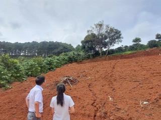 790 tr sở hữu lô đất view đồi thông ven đà lạt, cách trung tâm đà lạt 22km