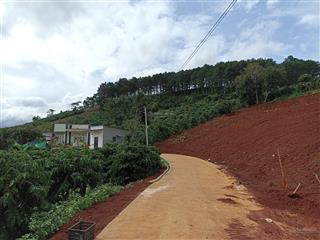 Đất đẹp cao thoáng view đồi thông giá đầu tư ven đà lạt
