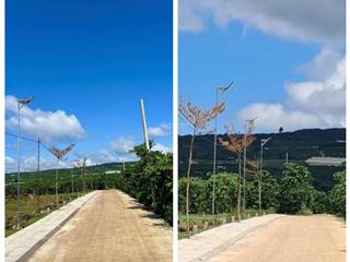 Đất ven đà lạt đường ô tô giá tốt đầu tư