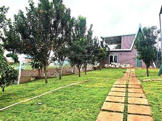 1100m2 có 2 bungalow sân vườn view đồi thông cao thoáng ven đà lạt