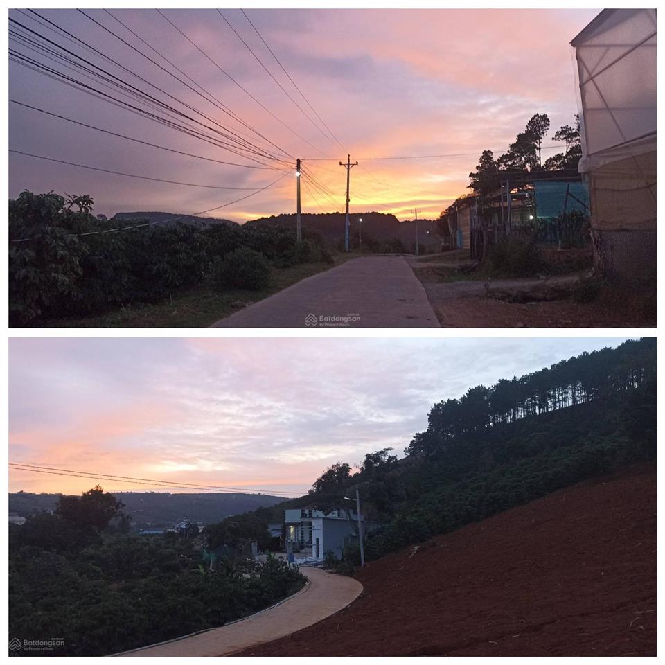 Lô đất view đồi thông săn mây ven đà lạt, giá tốt
