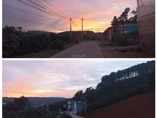 Lô đất view đồi thông săn mây ven đà lạt, giá tốt