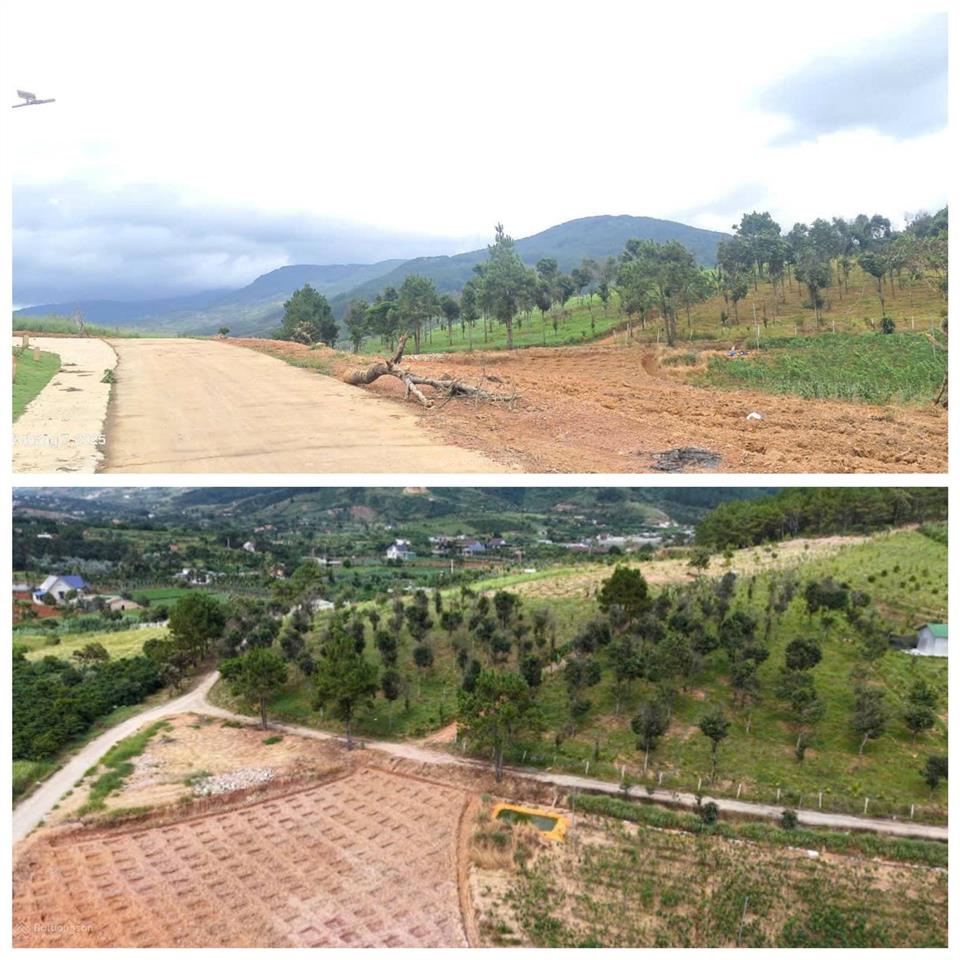 Bán lô đất góc 2 mặt tiền view đồi thông nam ban, lâm hà, giá chỉ 790 triệu