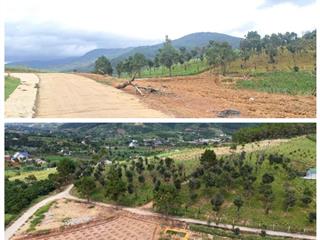Bán lô đất góc 2 mặt tiền view đồi thông nam ban, lâm hà, giá chỉ 790 triệu