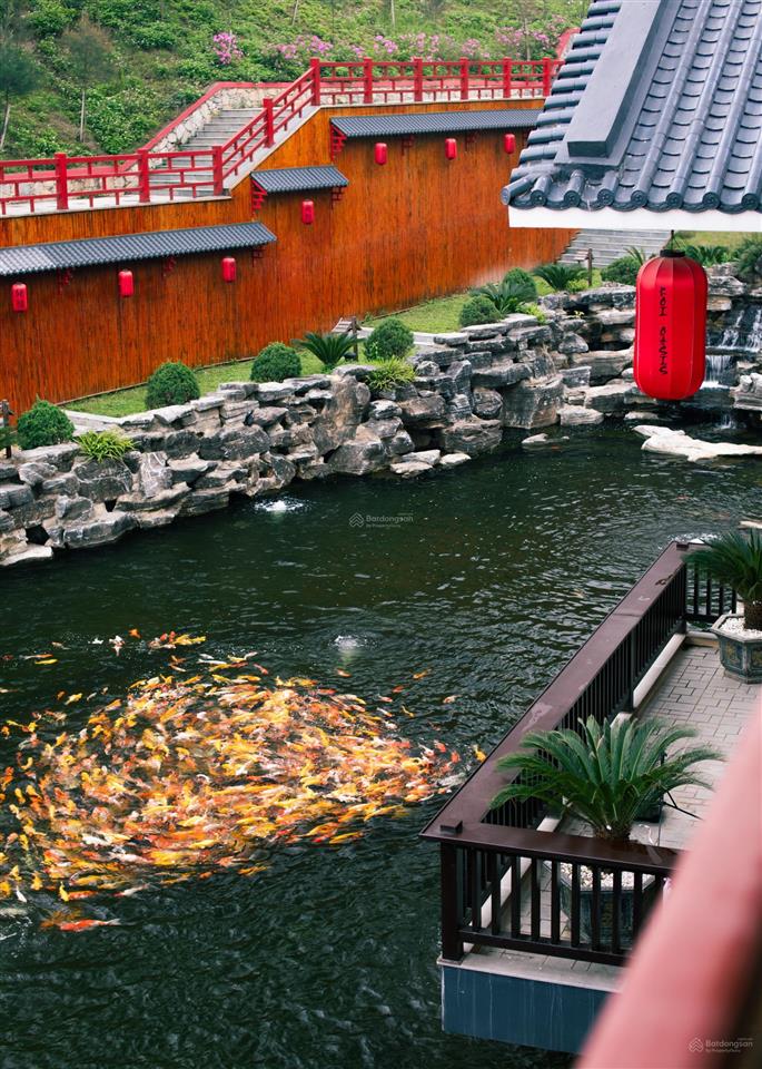 Chính chủ cần bán biệt thự legacy hill, hòa bình, giá cực rẻ chỉ 6,35 tỷ