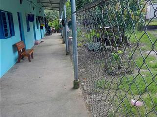 Bán dãy trọ 10 phòng đang cho thuê kín rộng rãi tại ấp tây lân, xã bà điểm, hóc môn, tp.hcm