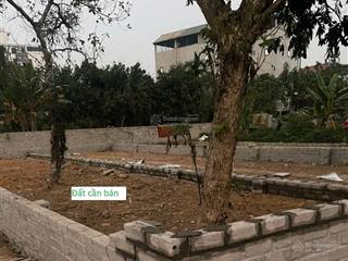 Do có việc làm ăn cần vốn, anh mình quyết định bán đi mảnh đất tâm huyết tại khu cnc hòa lạc.