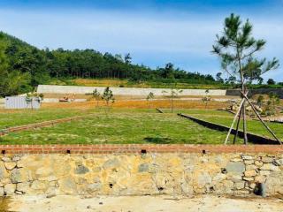 Chính chủ em bán nhanh 279,3 m2 ở phú cát quốc oai hn đường trải nhựa rộng 6m