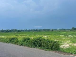 Bán đất tại xã long tân, long đất, bà rịa vũng tàu, 1,176 tỷ, 147m2 bao đẹp