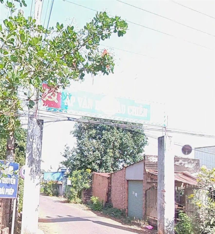 Bán gấp đất tại xã tân lâm, 4 triệu / m2, 1677m2 bao đẹp, xem ngay
