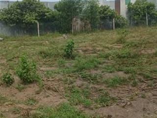 Bán đất 2121m2 tại xã tân lâm, xuyên mộc, bà rịa vũng tàu, giá ưu đãi 4 triệu / m2