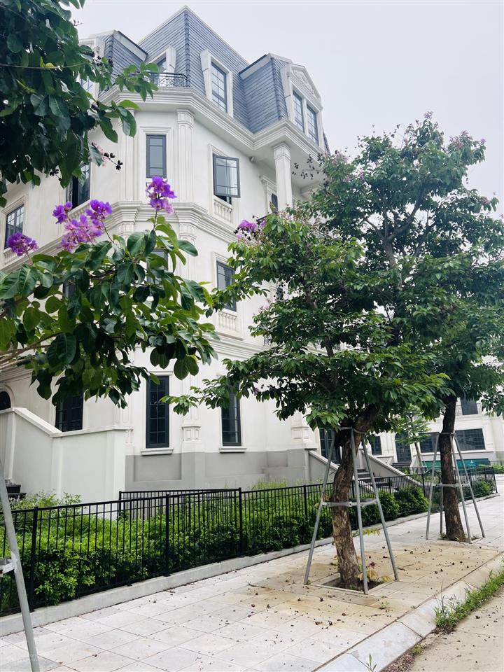 Bán gấp liền kề mặt vườn hoa, bao giá toàn dự án. chỉ 3x tỷ