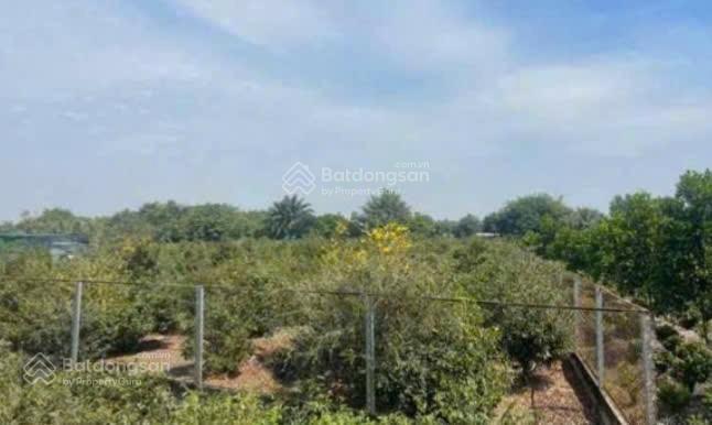 Bán đất 1.900m2 1/ đường kênh 7, xã bình lợi, huyện bình chánh. giá 6 tỷ 200 triệu