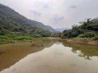 Chuyển nhượng 100ha đất rừng cư yên, lương sơn view núi 833  gần bãi dù lượn, giá cực rẻ