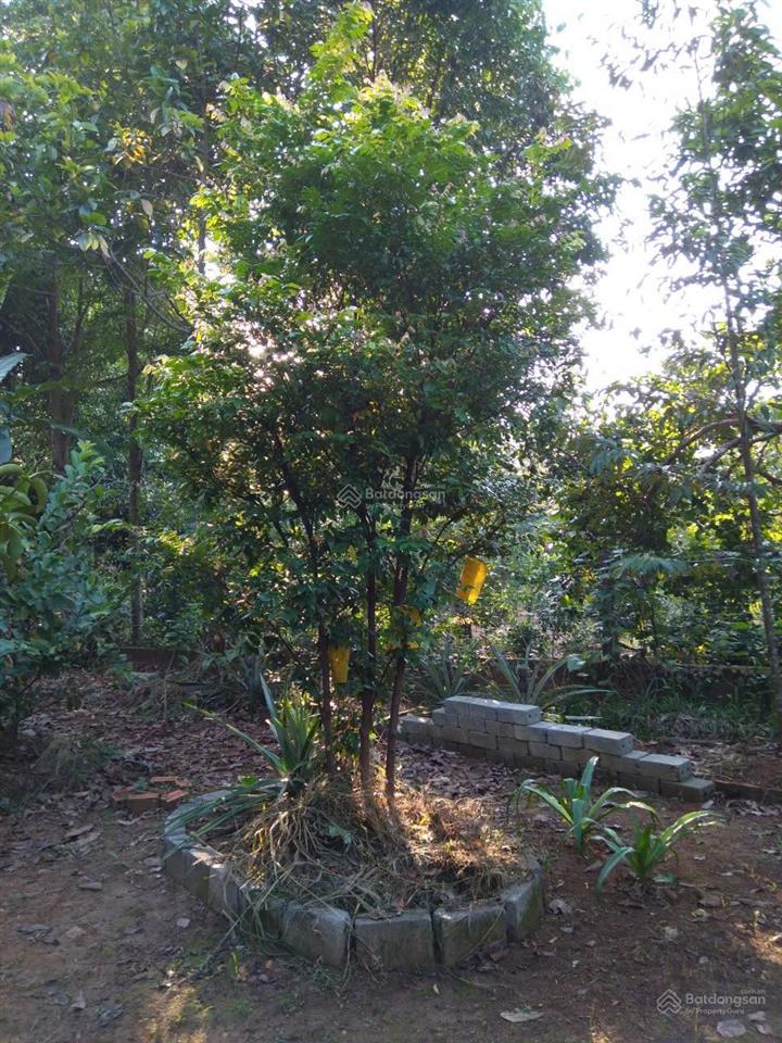 Chính chủ bán nhà và vườn tại đạ hoai, lâm đồng giá 2tỷ5, phù hợp đầu tư mở khu du lịch