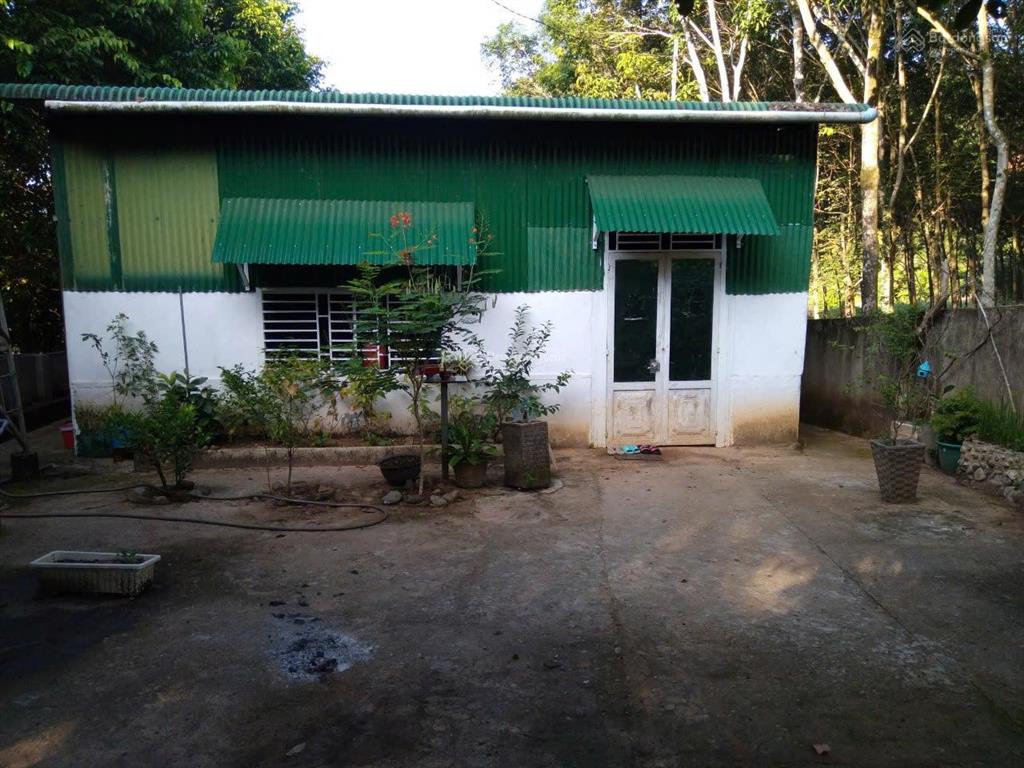 Chính chủ bán nhà và vườn tại đạ hoai, lâm đồng giá 2tỷ5, phù hợp đầu tư mở khu du lịch