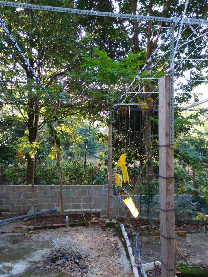 Chính chủ bán nhà và vườn tại đạ hoai, lâm đồng giá 2tỷ5, phù hợp đầu tư mở khu du lịch