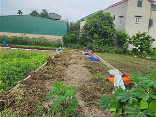 Bán 105m2 đất khu đấu giá cửu cao, văn giang, hưng yên