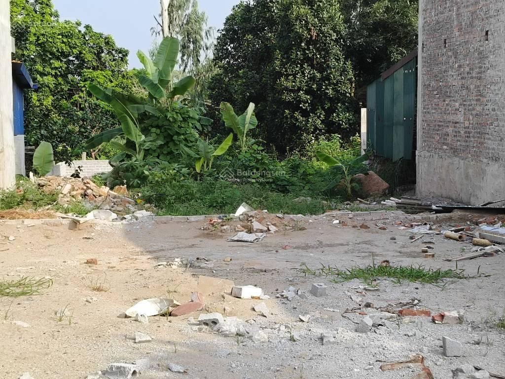 Bán đất đấu giá giai phạm, yên mỹ , hưng yên