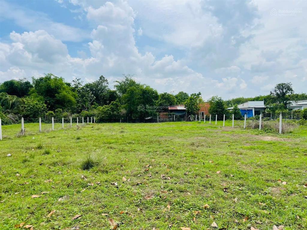 Thái mỹ 224m2 (5x45m) mặt tiền đường cây trôm mỹ khánh. chỉ 1,25 tỷ