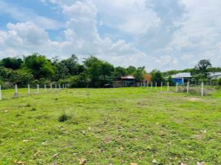 Thái mỹ 224m2 (5x45m) mặt tiền đường cây trôm mỹ khánh