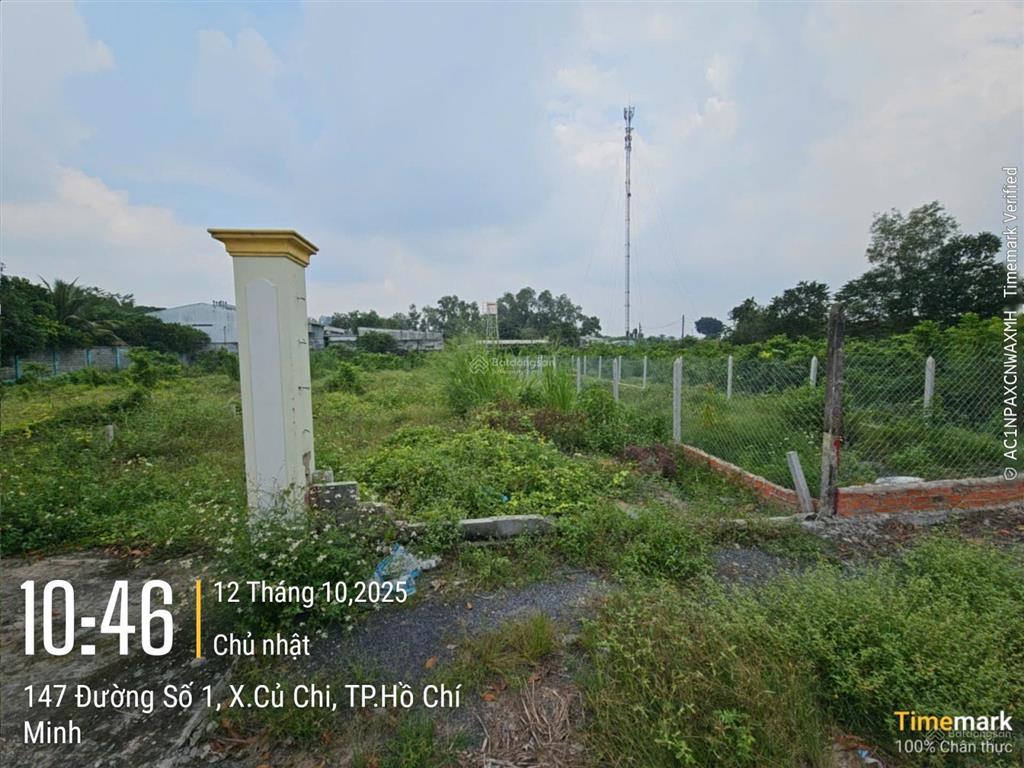 Đất ngộp bán nhanh 133m2 thổ 1/ trần văn chẩm  xã phước vĩnh an củ chi  giá 1,5 tỷ