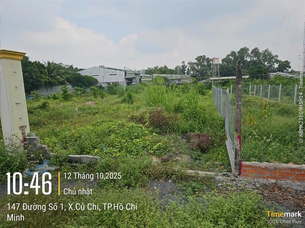 Đất ngộp bán nhanh 133m2 thổ 1/ trần văn chẩm  xã phước vĩnh an củ chi  giá 1,5 tỷ