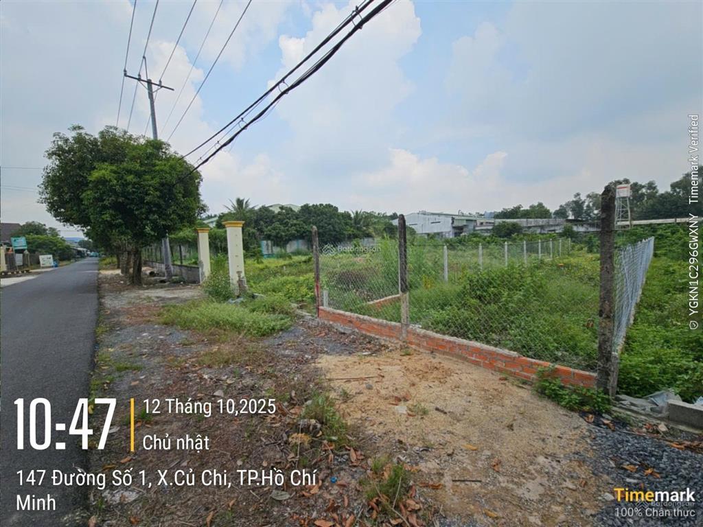 Đất ngộp bán nhanh 133m2 thổ 1/ trần văn chẩm  xã phước vĩnh an củ chi  giá 1,5 tỷ