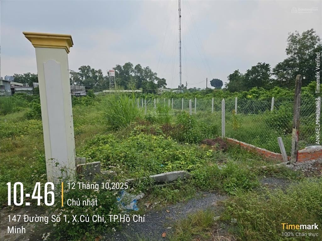 Đất ngộp bán nhanh 133m2 thổ 1/ trần văn chẩm  xã phước vĩnh an củ chi  giá 1,5 tỷ