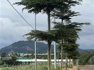 Đất ven đà lạt, 250m2 giá 850 triệu, cơ hội vàng cho nhà đầu tư