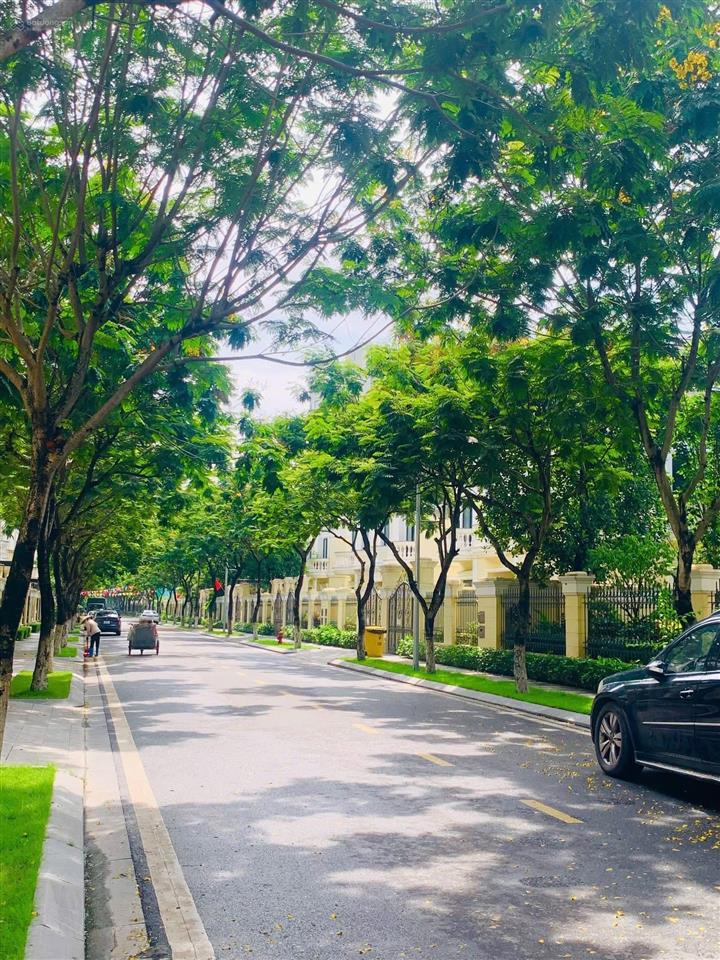 126m² không dành cho người bình thường căn biệt thự giới tinh hoa phát sốt ở an lạc green symphony