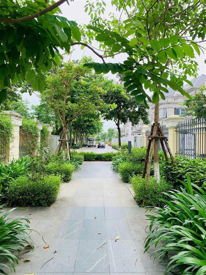 126m² không dành cho người bình thường căn biệt thự giới tinh hoa phát sốt ở an lạc green symphony