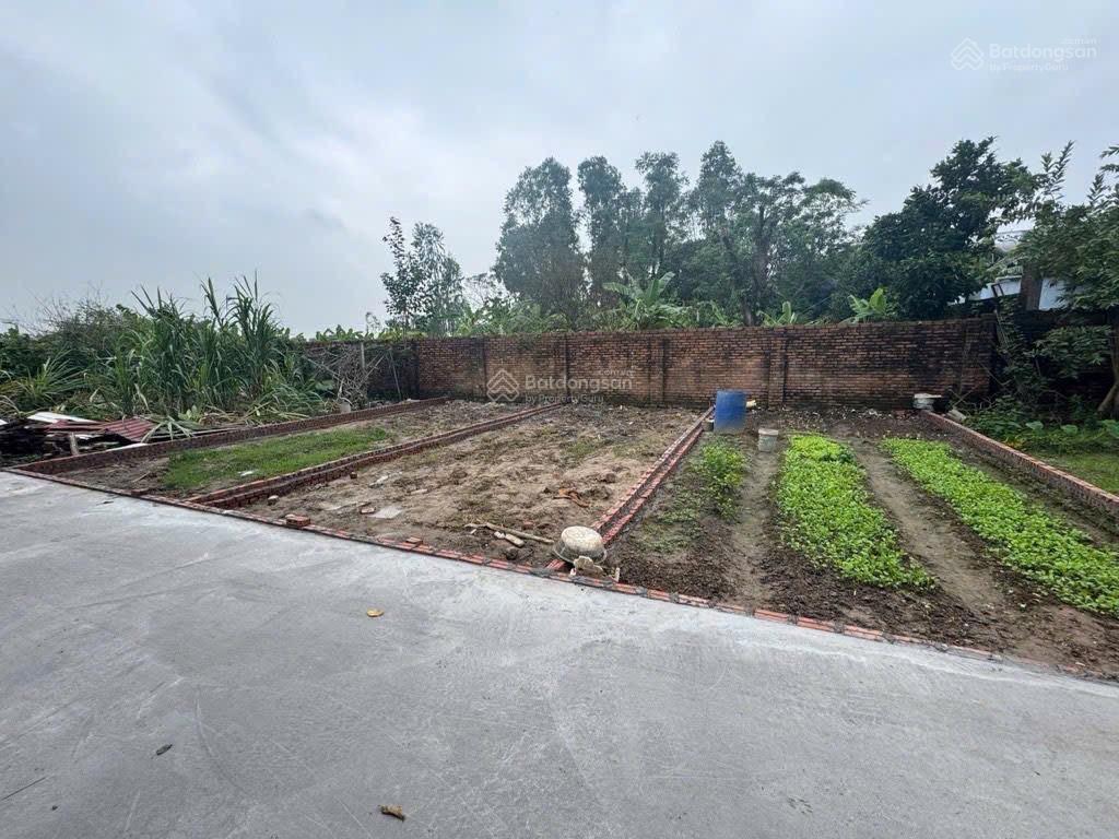 Bán 46m2 full thổ cư lạc nông  mai đình  sóc sơn nằm giữa 3 khu công nghiệp sát cạnh sân bay