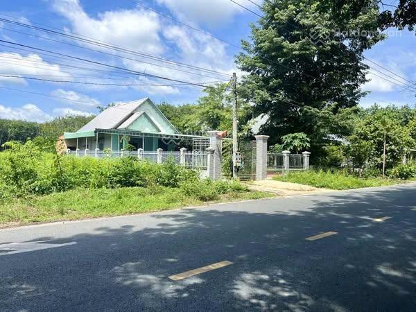 Đất vườn minh thạnh có thổ cư có sẵn vườn cây ăn trái.