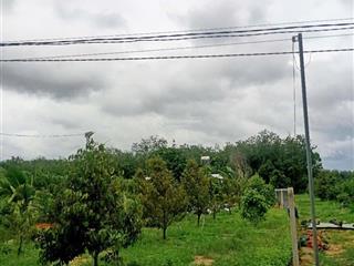 Đất vườn có sẵn thổ cư sẵn cây ăn trái, sổ sẵn.