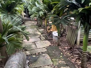 Bán trang trại, khu nghỉ dưỡng tại đồng tháp, đan phượng, hà nội, giá thỏa thuận, 1002.6 m2