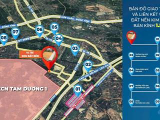 Chính chủ cần bán nhanh đất tại tổ dân phố gô 129.5m2tt tam dương vĩnh phúc giá 9xx